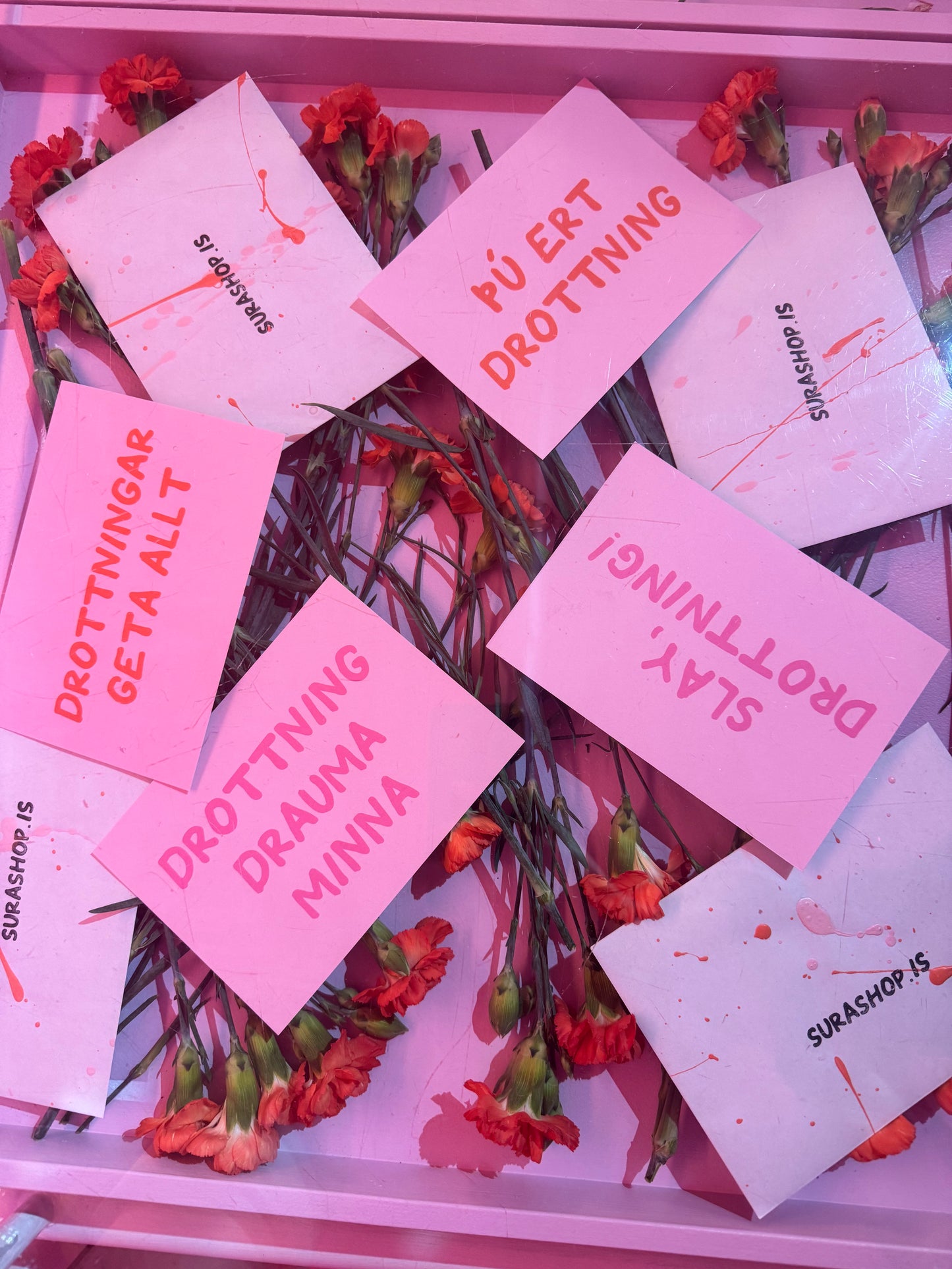 Drottningar – Kort (4 í pakka)